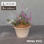  цветочный горшок керамика горшок белый mo спот 100W 8 номер 