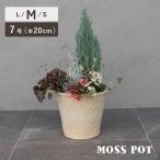 植木鉢　陶器鉢　ホワイトモスポット 400W　7号