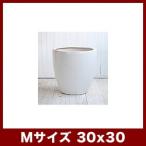 植木鉢　陶器鉢　ルッカ　PR6　白マット　Mサイズ