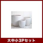 植木鉢　陶器鉢　ルッカ　PR6　白マット　3点セット