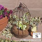  под старину организовать цветок bird клетка Brown S размер здесь cocos nucifera имеется клетка для птиц висячий 