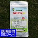 ショッピング除草剤 除草剤 芝生  シバゲンDF 20g 高麗芝 野芝 バミューダグラス メール便