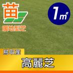  доставка 9 месяц 3 день ~27 день между будет 1 flat рис Goryeo газонная трава Tottori производство обивка газонная трава для 1 flat рис 0.3 цубо минут premium рассада . земля type натуральный газонная трава прямая поставка от производителя 