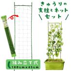 キュウリ支柱セット ネット付き 組立式 高さ180cm 家庭菜園用