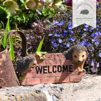  сад орнамент wellcome еж украшение произведение искусства наружный be потребности животное подарок 