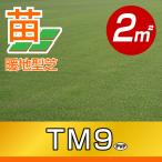 産地直送 鳥取産 ＴＭ９ ティーエムナイン 登録品種 ２平米 0.6坪分 張り芝用 プレミアム苗 暖地型 省管理型 天然芝