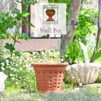 ウィッチフォード 植木鉢 シェル ポット 直径23cm 約7.5号鉢 Whichford 英国 テラコッタ