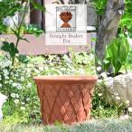 ウィッチフォード 植木鉢 ストレート バスケットポット 直径23cm 約7.5号鉢 Whichford 英国 テラコッタ