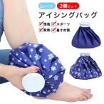 氷嚢 氷のう 2個セット 【使い勝手が良い L+Lセット】大口径 ゴルフ スポーツ ひょうのう アイシング アイスバッグ 氷枕 首 肩 野球 首に巻く