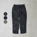  мужской THE NORTH FACE The * North * лицо Karka Pant нейлон брюки легкий брюки NB32405