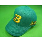 BELGARDbe Люгер do ограничение колпак зеленый воздушный сетка материалы 