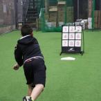 ターゲットナイン FTRN-9 ボール２個付き ストラックアウト フィールドフォース イベント 催事