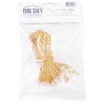  большой Sky Inter National gai линия комплект 2.5mm x 250cm 4 шт. комплект (BIG418-901026) | палатка для gai трос свободный металлические принадлежности имеется обивка . кемпинг строение сопутствующие товары 