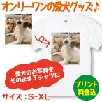 特急 30cm  ペット 愛犬 犬 写真プリントＴシャツ グッズ 作成 雑貨 写真 オリジナル プレゼント 1枚から 愛犬の写真でグッズ 愛犬グッズ 手作り うちの子 5001