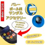 バレー グッズ 雑貨 プ