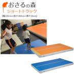 おさるの森  ショートトラック エアマット 家庭用向け  受注生産商品 返品交換不可商品 幅100cm×長さ300cm×厚さ10cm 代引不可 トレーニング バランス