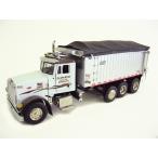 Rick Kuntz   Peterbiltピータービルト 357 Rigid with East Genesis　ダンプ 2042-RKT /SWORD MODELS  1/50 トラック 模型