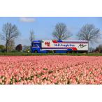 【予約】2021年2月以降発売予定HZ Logistics DAF XF Euro 6 Super Space Cab met koeloplegger トラック/TEKNO 1/50 建設機械 模型ミニカー  はたらく車 重機