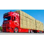 【予約】10-12月以降発売予定Judge, Philip Scania トラック /Tekno  建設機械模型 1/50