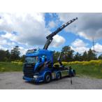 Blue Shine SCANIA STREAMLINE HIGHLINE 8x2 TAG AXLE PALFINGER 7400.2 + HOOK LIFT CONTAINER 15m3 トラック /建設機械模型 工事車両 WSI 1/50 ミニチュア