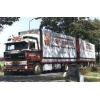 【予約】6-8月以降発売予定Van Maanen DAF 3600 4x2 RIGED BOX / CURTAIN / REFRIGERATED TRUCK COMBIトラック/建設機械模型 工事車両 WSI 1/50 ミニチュア