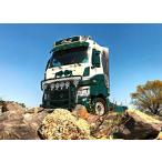 【予約】12月以降発売予定Ardie Bull RENAULT TRUCKS T HIGH 4X2 トラック トラクタヘッド/WSI 建設機械模型 工事車両 1/50 ミニカー