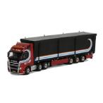 P. van der Mark ボルボ FH2 Globetrotter Cargo Floor トレーラー  3軸 /WSIダブリューエスアイ 1/50 　 9717