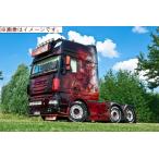 予約2014年4-6月以降発売予定Reich DAF XF 105 Super Space Cab　トラックトラクタヘッド /WSI 建設機械模型　1/50