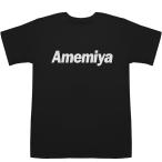 Amemiya 雨宮 アメミヤ T-shirts【Tシャツ】【ティー