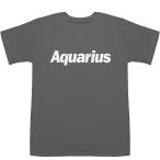 Aquarius（アクエリアス）水瓶座（