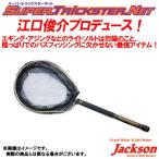 ●ジャクソン スーパートリックスターネット STN-280GD ゴールド