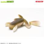 【Feco】エンジン　キング房総蛙 【まとめ送料割】