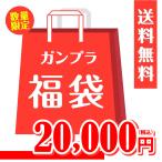 【福袋】【同梱不可】【発送目安：2025/1/15以降】ガンプラ福袋2万円　新春 初売り　プラモデル
