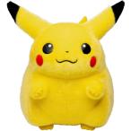 タカラトミー ポケットモンスター ポケモン30周年記念 おかえり