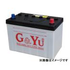 G&Yu [ジーアンドユー] バッテリー HD-D31R　集配者・バス・トラック・船舶・建設機械用（キャップタイプ）