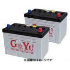 G&Yu [ジーアンドユー] バッテリー HD-D31R  （お得な２個セット）　集配者・バス・トラック・船舶・建設機械用（キャップタイプ）
