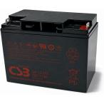 G&amp;Yu GP12170 B1端子 小型制御弁式鉛蓄電池 12V 17Ah 密閉型 VRLA UPS・無停電電源装置 通信機器 防災設備 制御盤用電源