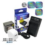 [ сменный товар ] BLM-1 BLM-5 OLYMPUS Olympus сменный USB зарядное устройство розетка зарядка для AC адаптор имеется 2 пункт set оригинальный аккумулятор . зарядка возможна BCM-5 BCM-1 BCM-2 a2.1