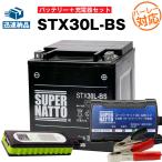 バイク バッテリー ハーレー用STX30L-BS シールド型 66010-97B互換 お得3点セットUSBチャージャー+充電器+バッテリー バイクでスマホ充電(液入済)