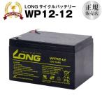 UPS(無停電電源装置) WP12-12（産業用