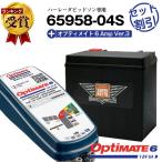  мотоцикл аккумулятор 65958-04S 65958-04B 65958-04C сменный выгода 2 позиций комплект OptiMATE6 TM-367 Opti Mate 6 Amp. Ver.3 зарядное устройство +AGM аккумулятор super гайка 