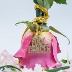 Yahoo! Yahoo!ショッピング(ヤフー ショッピング)GoldenGilt ゴールデンギルト F*ck Cancer ネックレス チェーン ジュエリー アクセサリー メンズ ブランド ストリート ストリート系 人気 デザイン