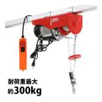 電動ウインチ 電動ホイスト 万能ウインチ 耐荷重最大約300kg 約0.3t 最大揚程12m 100V電源 フック付き 安全装置付き 滑車フック ワイヤー約12m ワイヤー