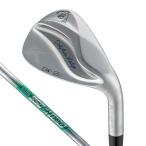  Kasco (Kasco) Dolphin Wedge semi Goose шея DW-125G N.S.PRO 950GH neo Wedge 48°