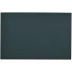 TRUSCO( Trusco ) магнит сиденье доска 450mmX600mmXt0.7 MSK4560