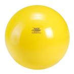 ショッピングバヤ Gymnic ギムニク(GYMNYC) ギムニク45 黄色 バランスボール