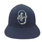 OCTOBERS VERY OWN(オクトーバーズベリーオウン) Varsity Logo 59 Fift 中古 古着 0347