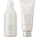 デミコスメティクス フローディア シャンプー ディープモイスト A 250ml & トリートメント ディープモイスト B 200g