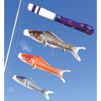 【吹流しを選べます】鯉のぼり ロイヤル錦 2m万能スタンドセット ポリエステル使用 金箔 飛翔鶴吹流/昇龍吹流 ベランダ用取付スタンド付こいのぼり