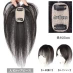 人毛 トップピース ストレート ヘア